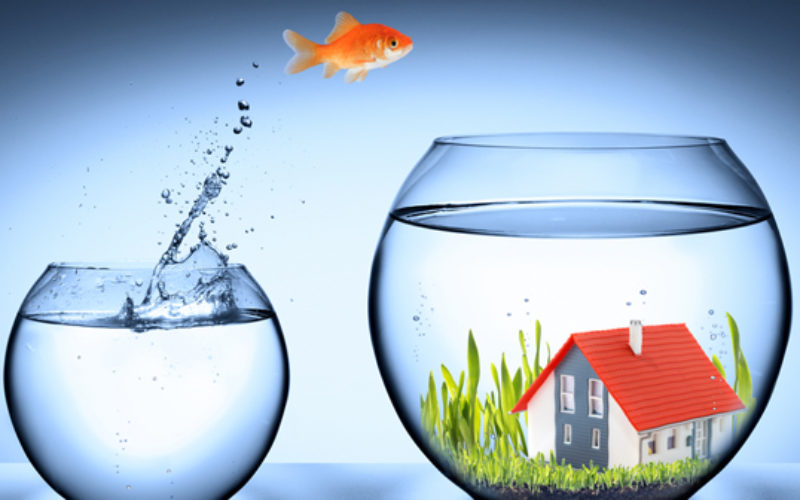 SA Multi Loan – Efficient Loan Finding Services