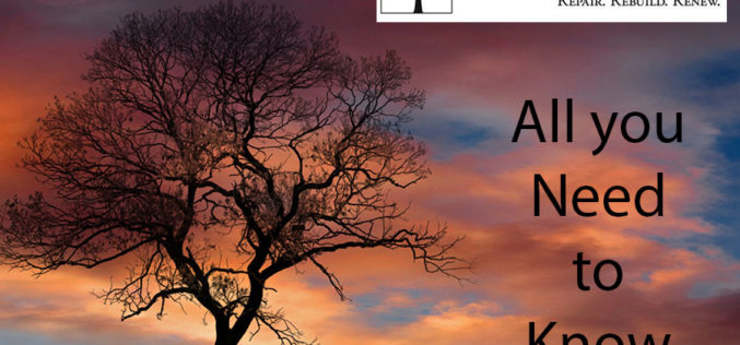 All You Need to Know About Where to Find a Credit Coach