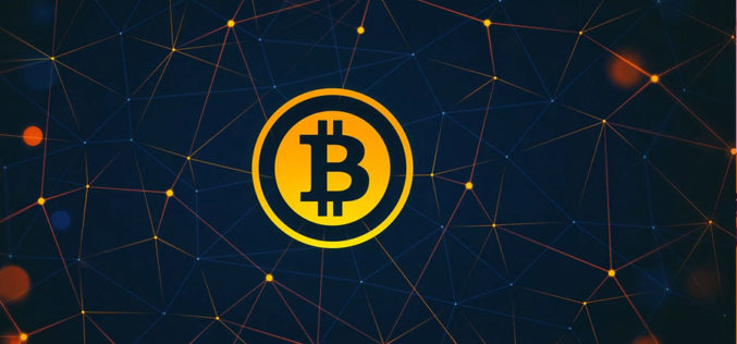 How Our Own South Africans Make Use of their Bitcoin