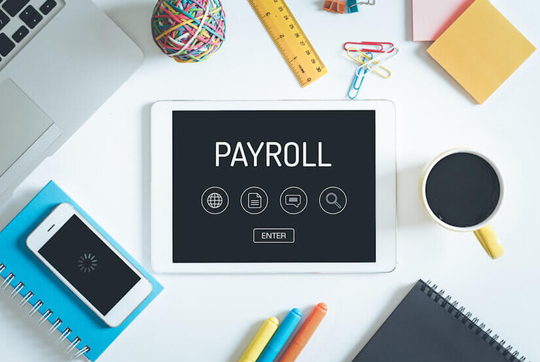 Fine_loans_types_of_speciality_payroll_processes